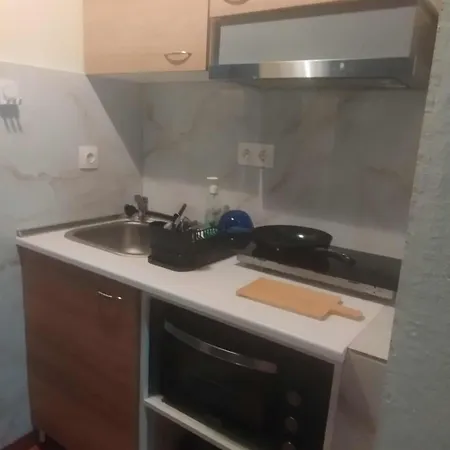 Διαμέρισμα Rodia *